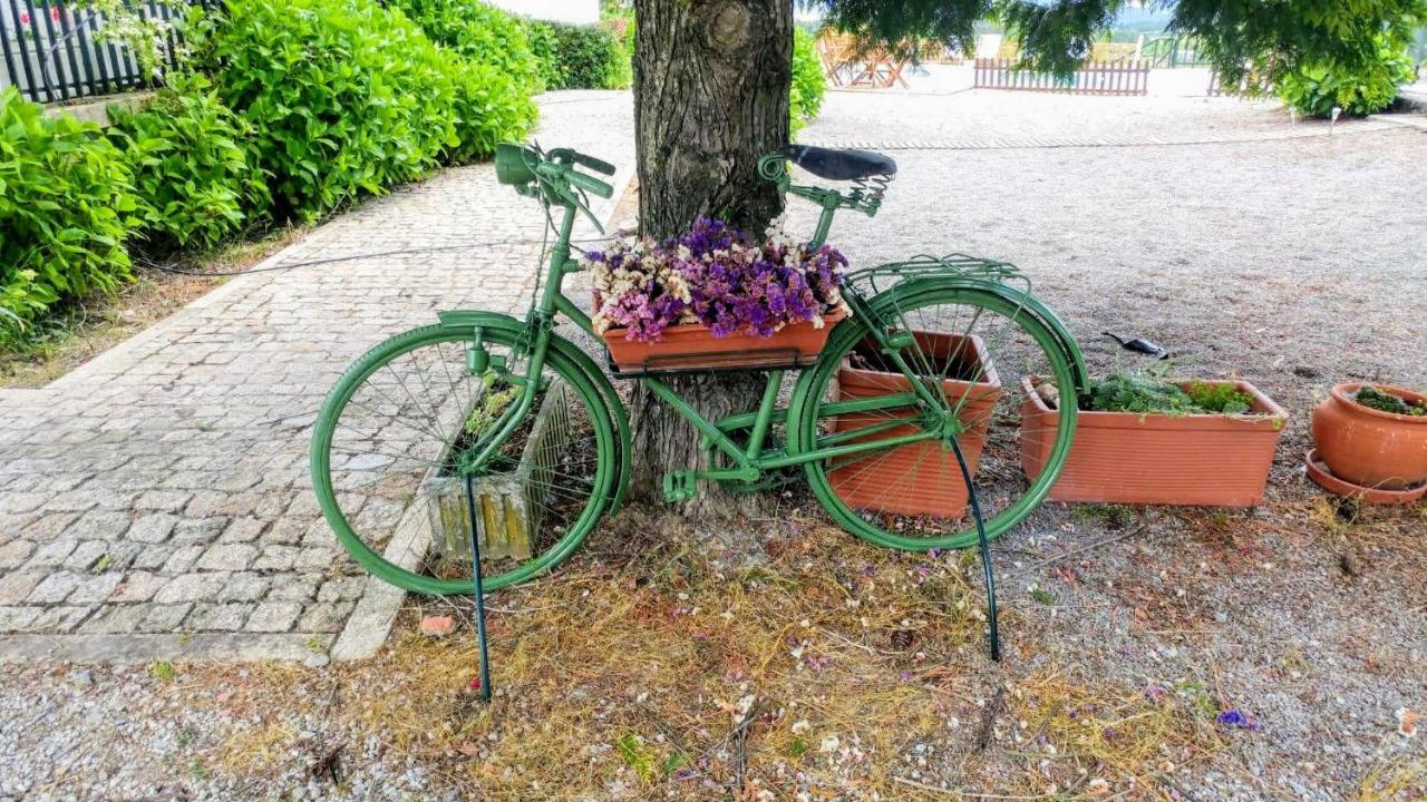 Quinta Do Sol Daire Alijó Dış mekan fotoğraf