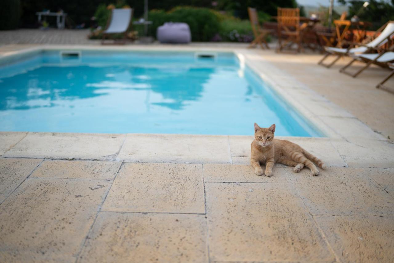 Quinta Do Sol Daire Alijó Dış mekan fotoğraf