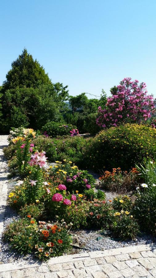 Quinta Do Sol Daire Alijó Dış mekan fotoğraf