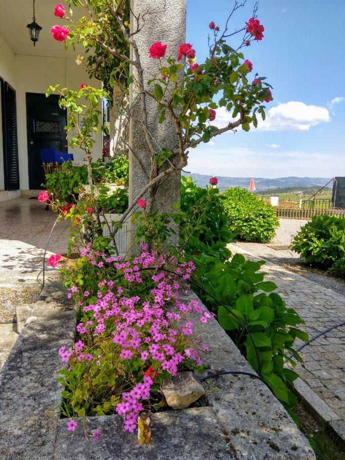 Quinta Do Sol Daire Alijó Dış mekan fotoğraf