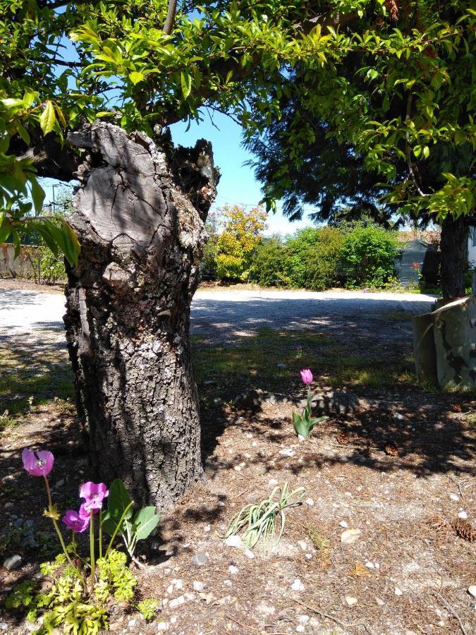 Quinta Do Sol Daire Alijó Dış mekan fotoğraf